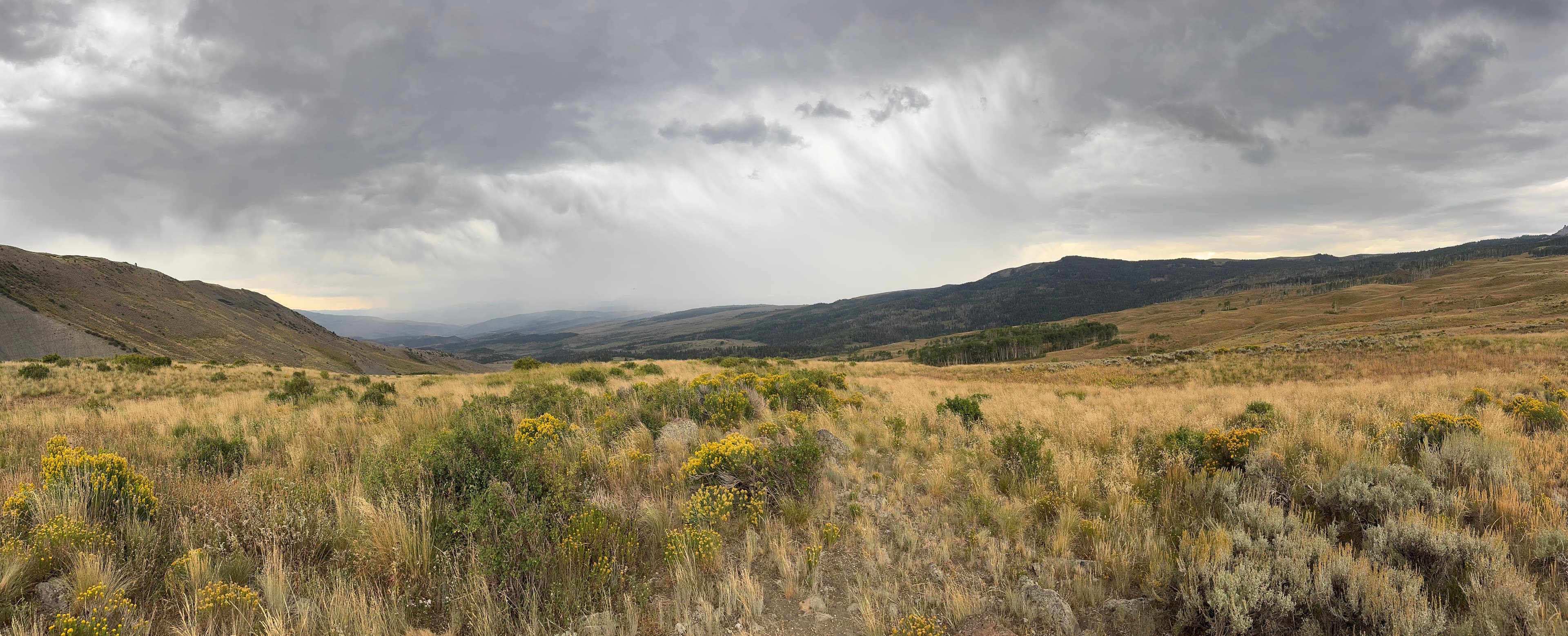 Colorado landscape